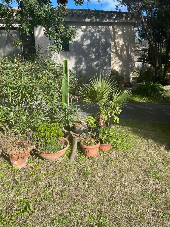 Appartamenti Su Pasiu Chia Exterior foto